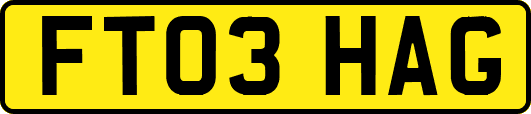FT03HAG