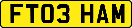 FT03HAM