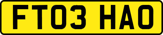 FT03HAO