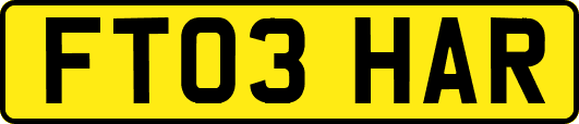FT03HAR
