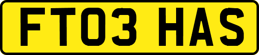 FT03HAS