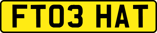 FT03HAT