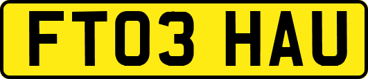 FT03HAU