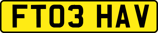 FT03HAV