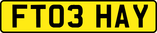 FT03HAY