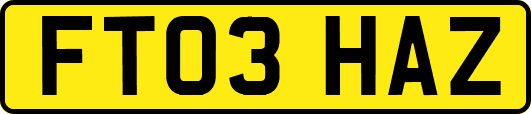 FT03HAZ