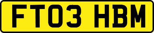 FT03HBM