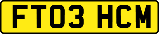 FT03HCM