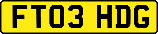 FT03HDG