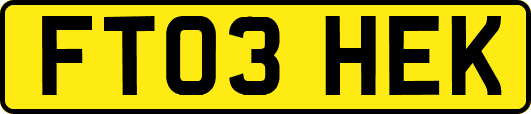 FT03HEK