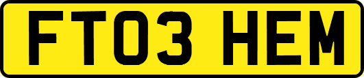 FT03HEM