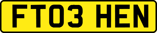 FT03HEN