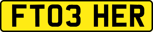FT03HER