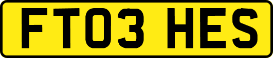 FT03HES