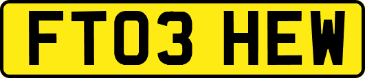 FT03HEW