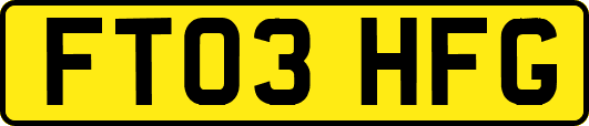 FT03HFG