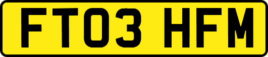 FT03HFM