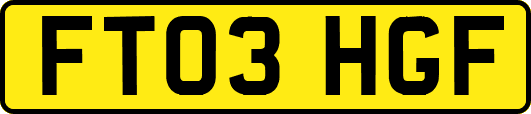 FT03HGF