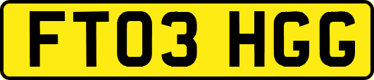 FT03HGG