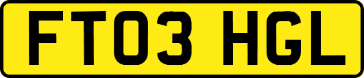 FT03HGL
