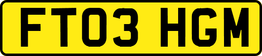 FT03HGM