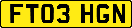 FT03HGN