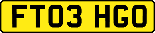 FT03HGO