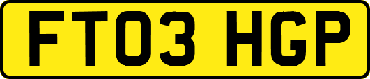 FT03HGP
