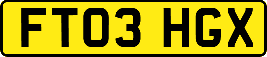 FT03HGX