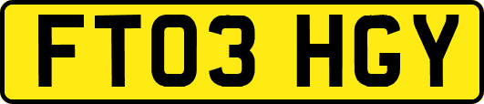 FT03HGY