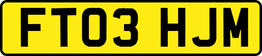 FT03HJM