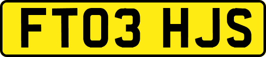 FT03HJS