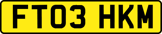 FT03HKM