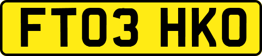FT03HKO