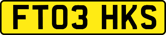 FT03HKS