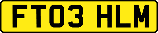 FT03HLM