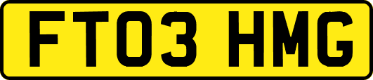 FT03HMG