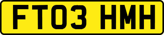 FT03HMH