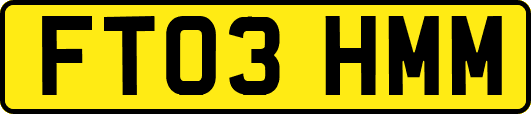 FT03HMM