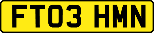 FT03HMN