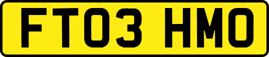 FT03HMO