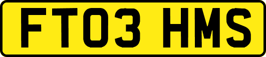 FT03HMS