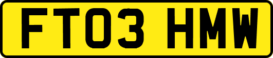 FT03HMW