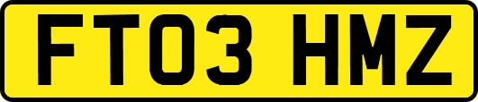 FT03HMZ