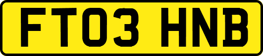 FT03HNB