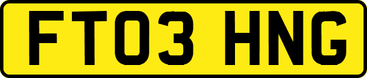 FT03HNG