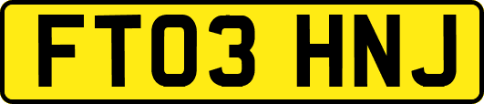 FT03HNJ