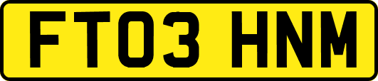 FT03HNM