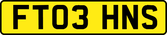 FT03HNS