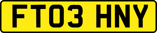 FT03HNY